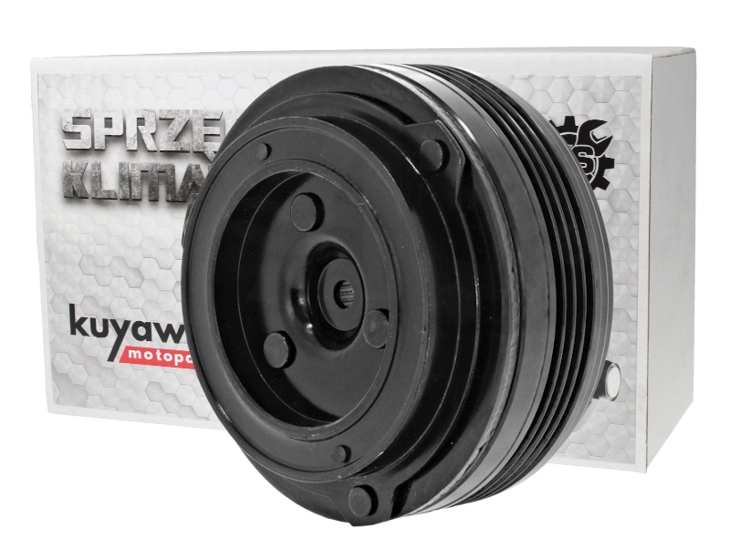 SPRZĘGŁO KLIMATYZACJI CALSONIC BMW X3 X5 X6 E70 E4