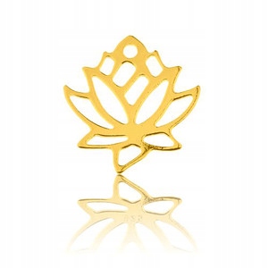 Wisiorek zawieszka CELEBRYTKA CHARMS srebro 925 24