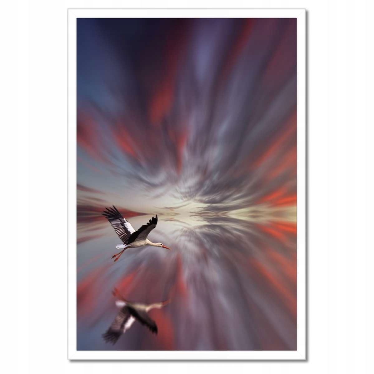 Plakáty v rámu 40x60 Zvířata Zvířátka