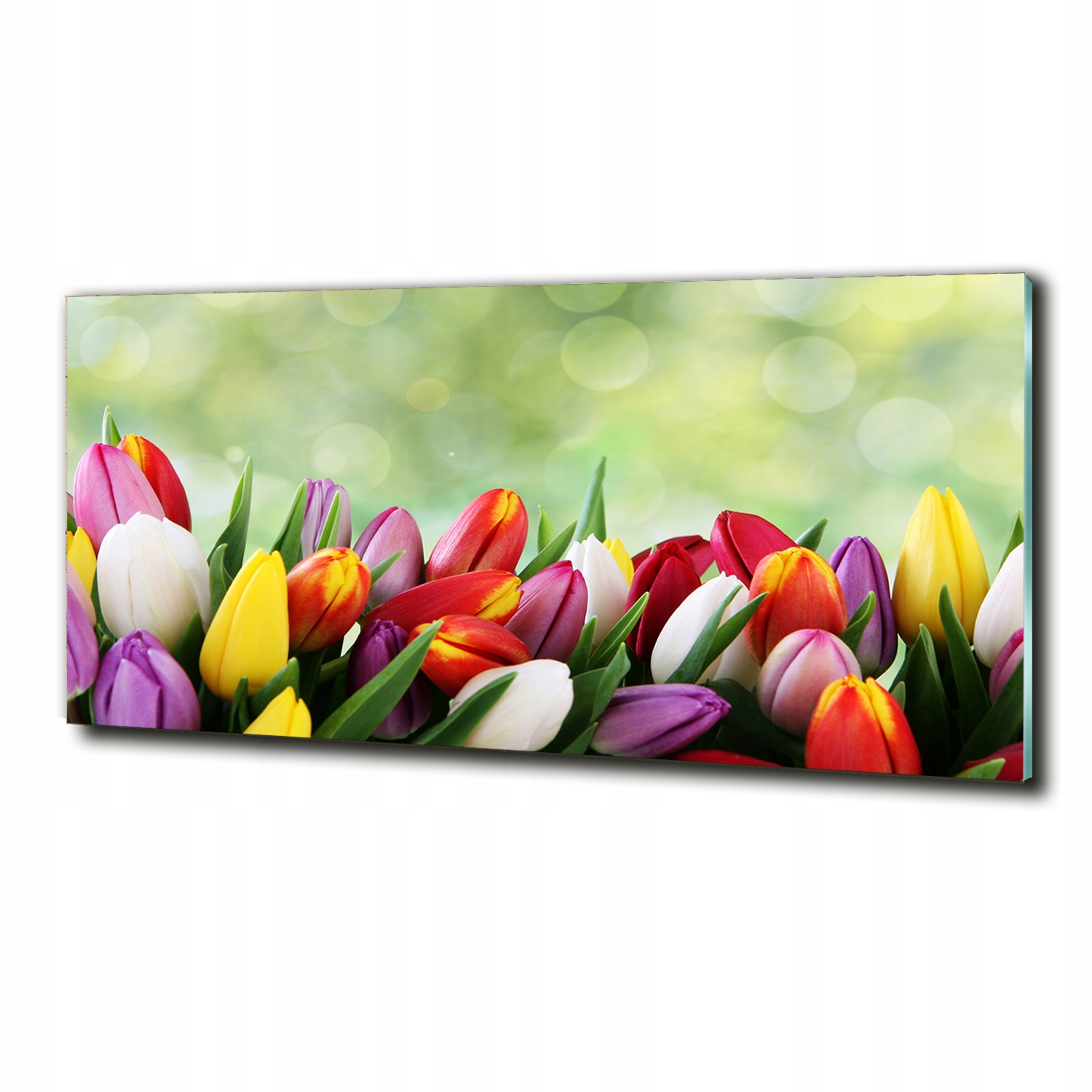 Obraz grafika dekorace velký Barevné tulipány