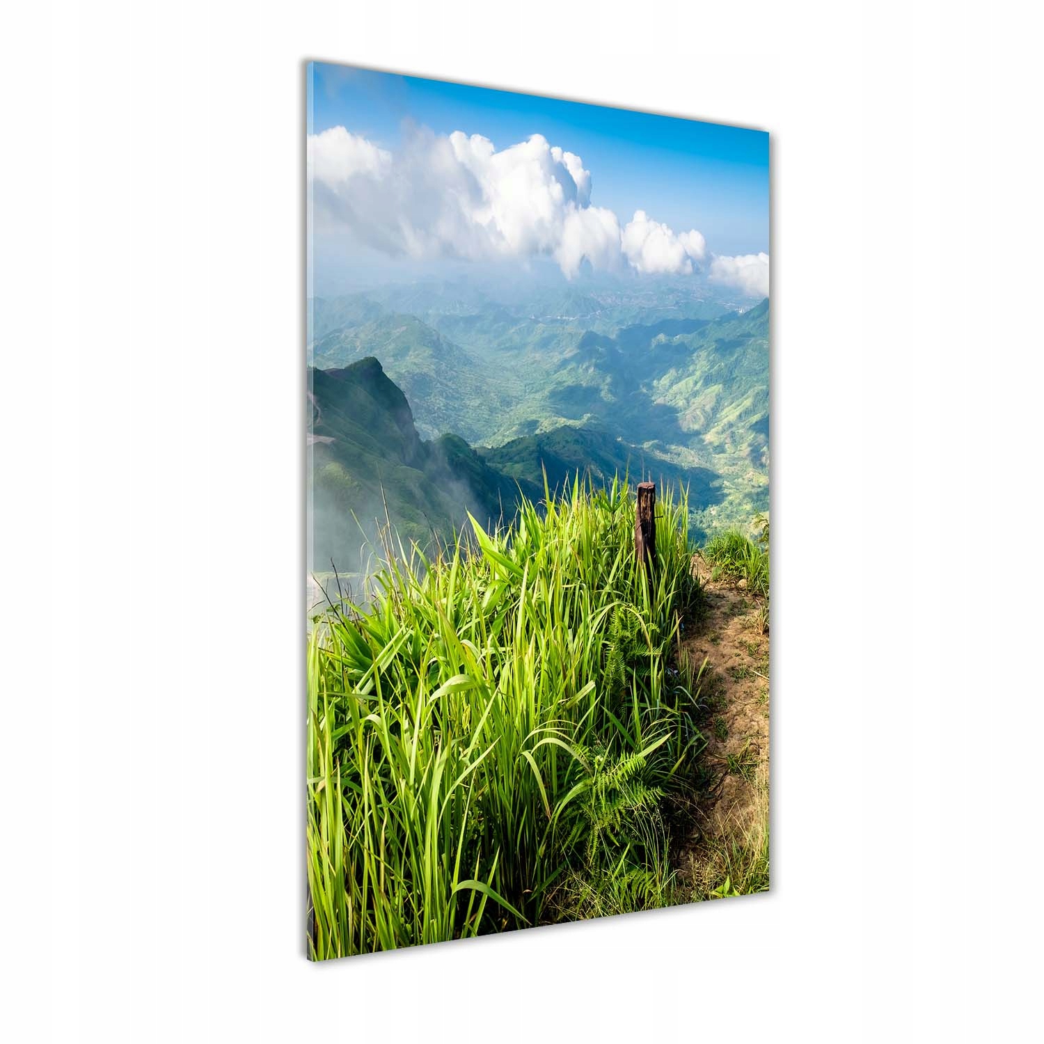

Foto obraz szkło hartowane Górski szlak 50x100 cm