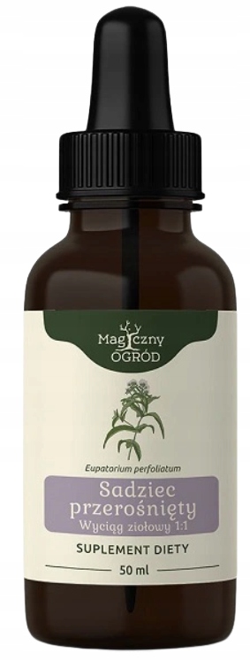 

Sadziec przerośnięty nalewka 50ml Magiczny Ogród