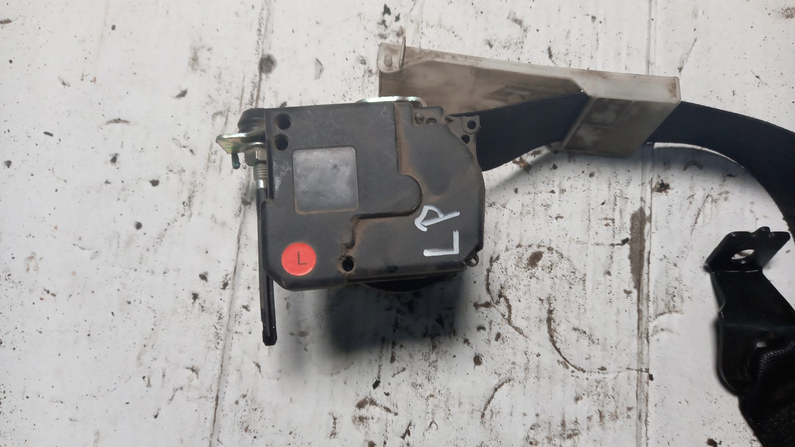 ремень передний левый opel Astra G 02R 1.6b HB