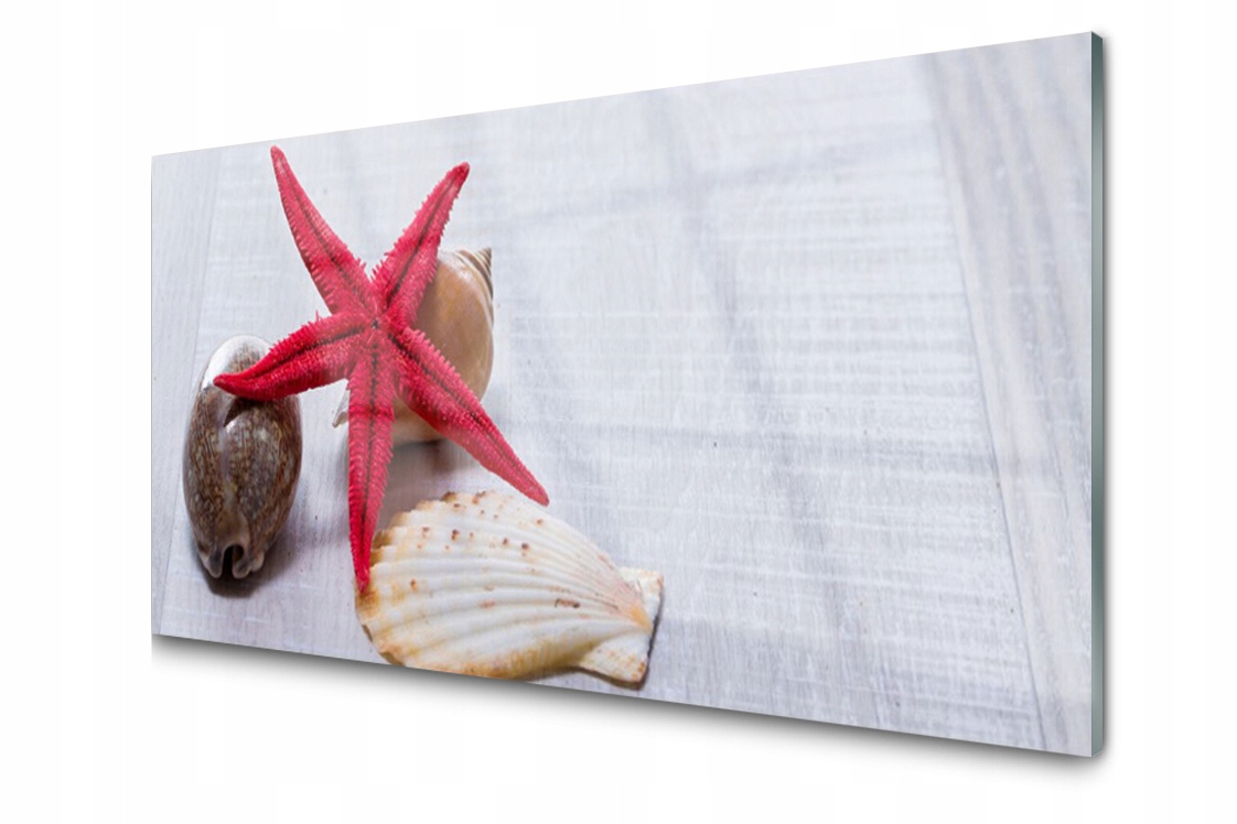 

Panel szklany Płytka Rozgwiazda Muszle 120x60