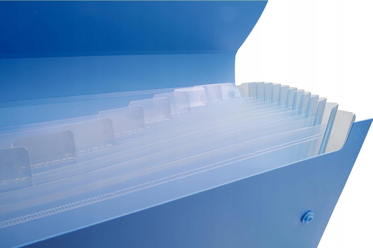 Teczka harmonijkowa z 13 przegrodami PENTEL Document File czarna Typ z przegródkami