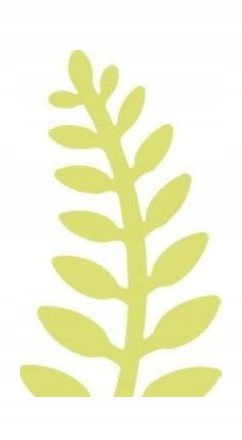 DZIURKACZ OZDOBNY 5CM PAPROĆ