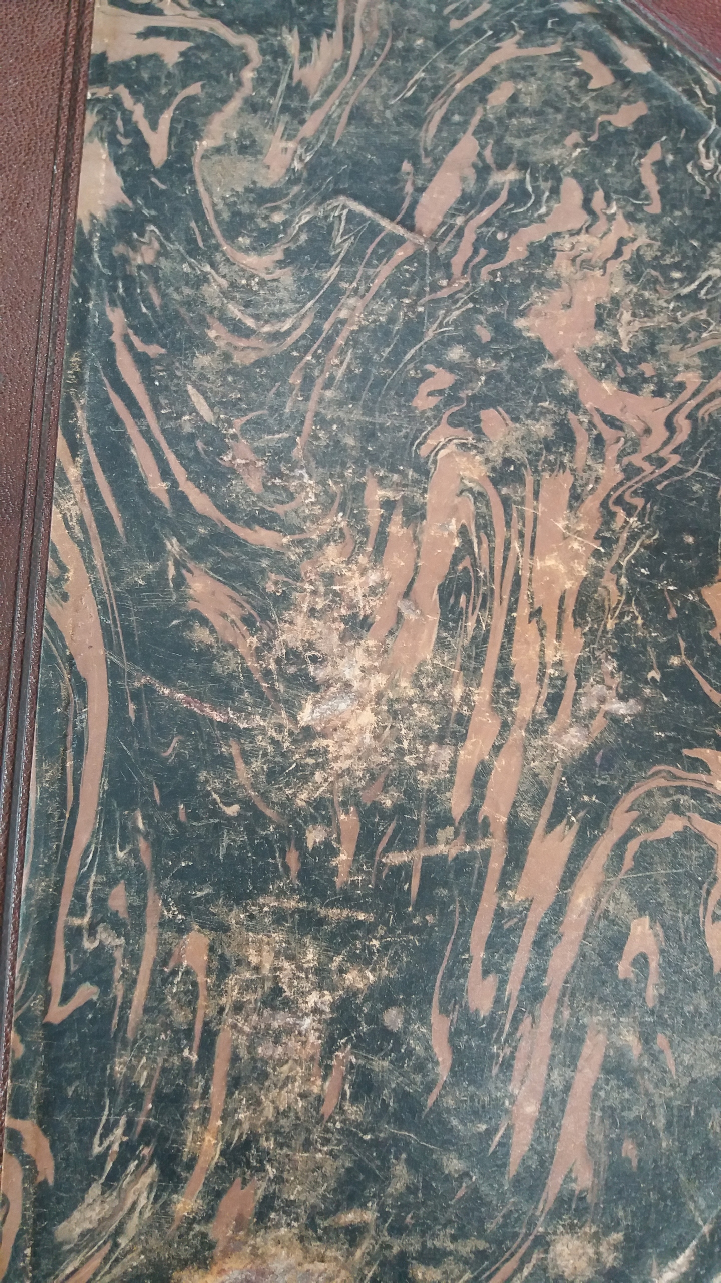 NATURALNA HISTORIA STWORZENIA 1909 PÓŁSKÓREK