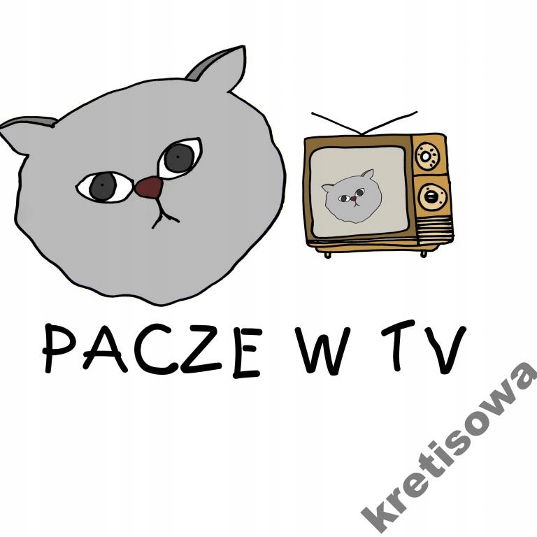 

Męska koszulka Co Ja Pacze Paczyzm Kot c1