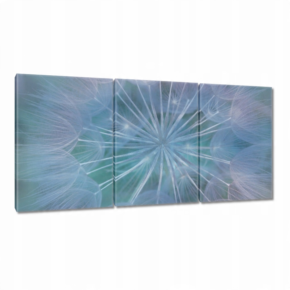 

Obrazy 120x60 Dmuchawiec Kwiat Kwiatki