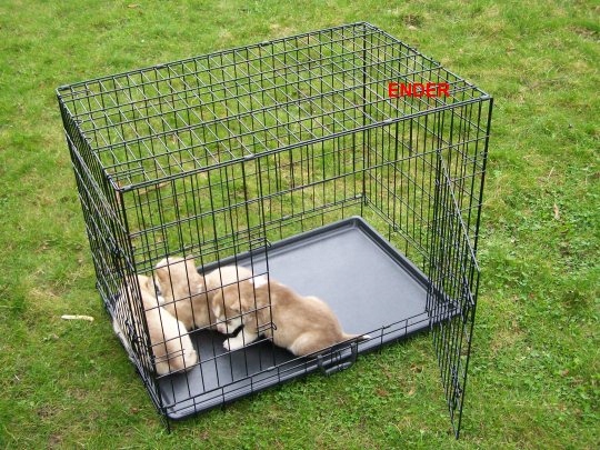 KLATKA TRANSPORTER KOJEC dla Psa Psów 60x45x53cm M Wysokość produktu 53 cm