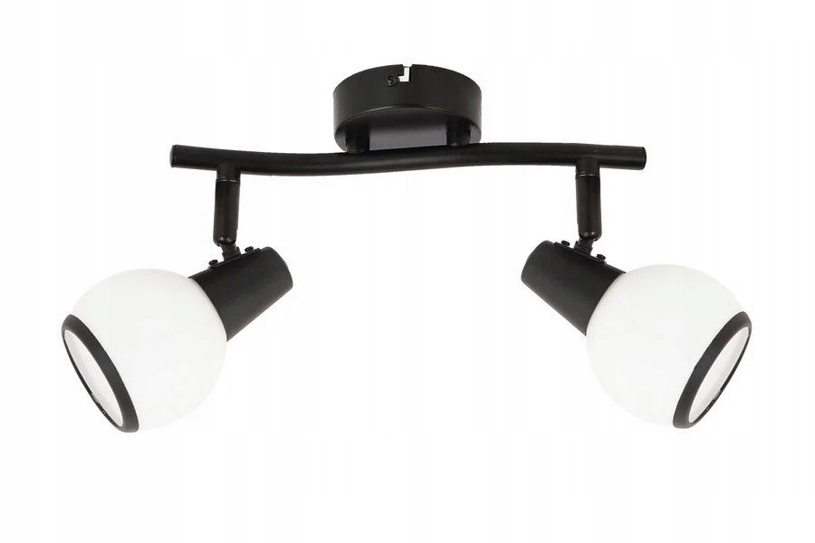 Stropní svítidlo černá s nastavitelnými skleněnými reflektory, 2 body Reality