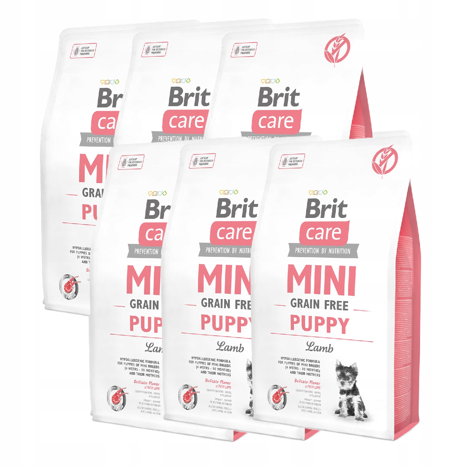 Levně Brit Care Dog Mini Grain Free Puppy Jehněčí Karton Balení 6 Kusů 6x2kg 12kg