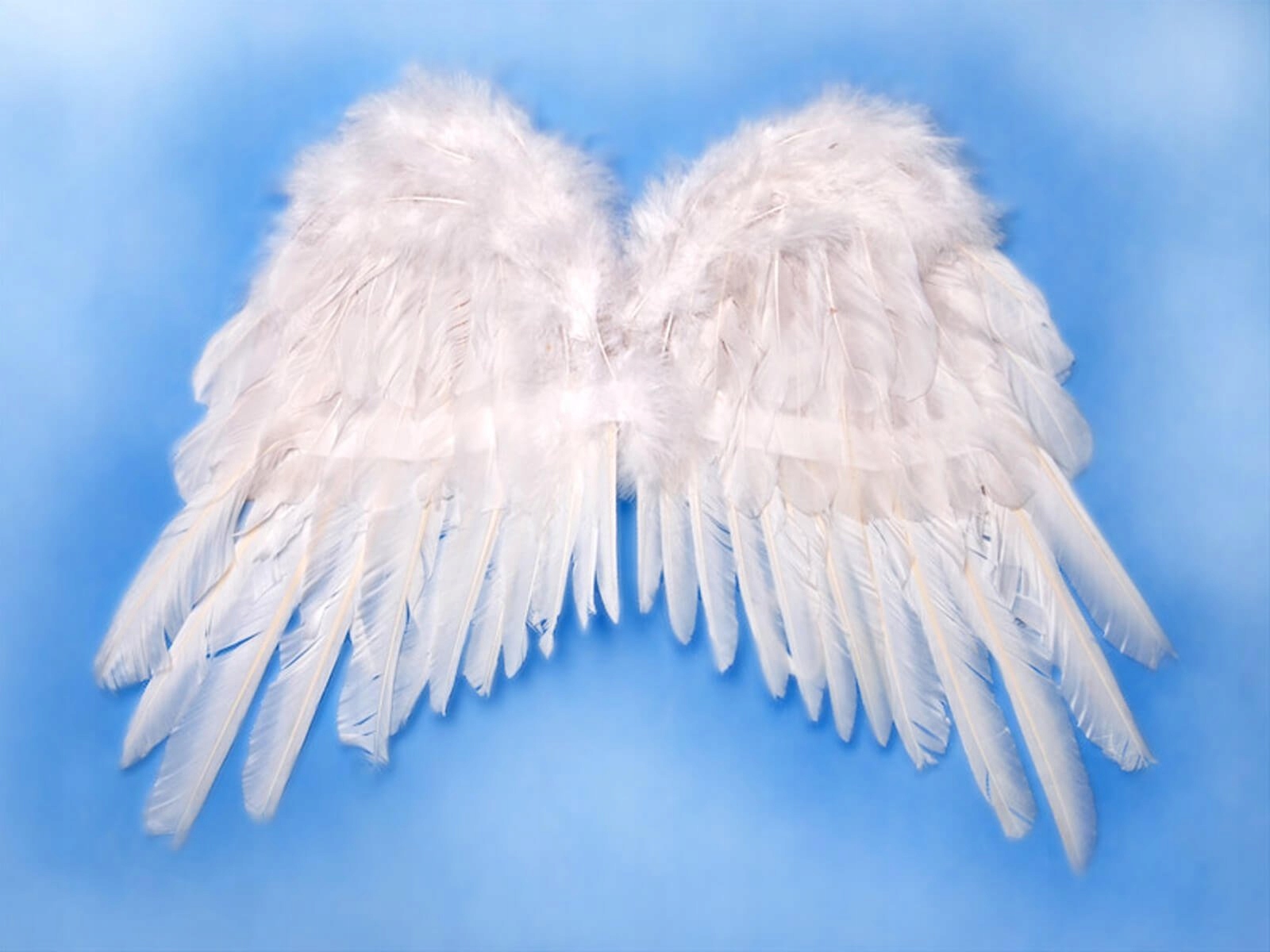 Białe Skrzydła Anioła na Jasełka 50x35cm Naturalne Pióra - Party Deco Marka Party Deco
