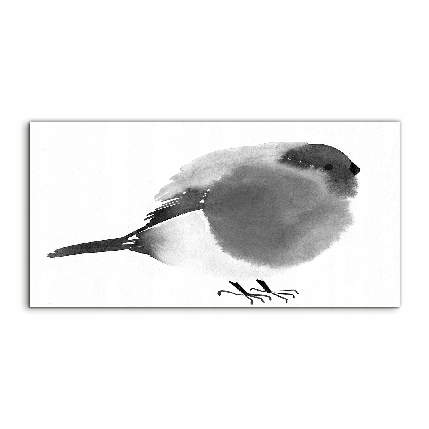 

Obraz akryl 100x50 na ścianę Ptak Natura Zwierzę