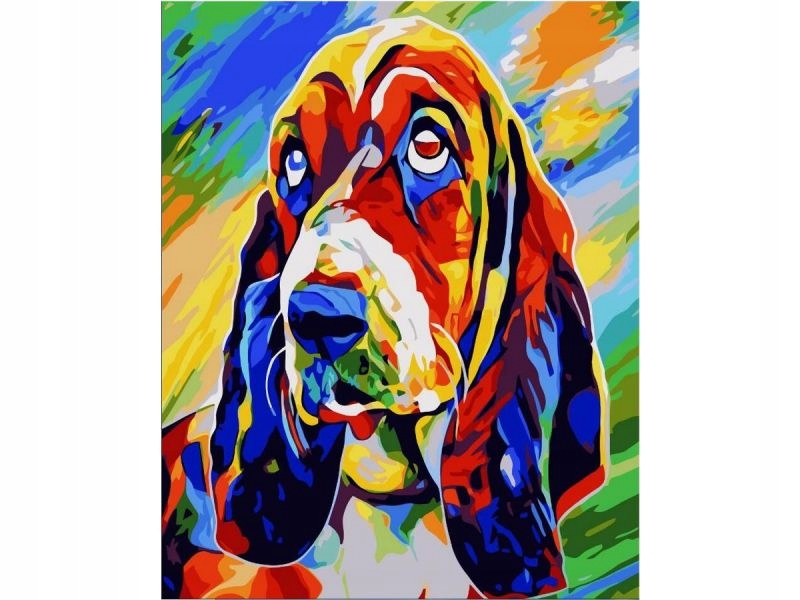Obraz Malování Podle Čísel Rám 40x50cm Basset Hound Pes V Barvě