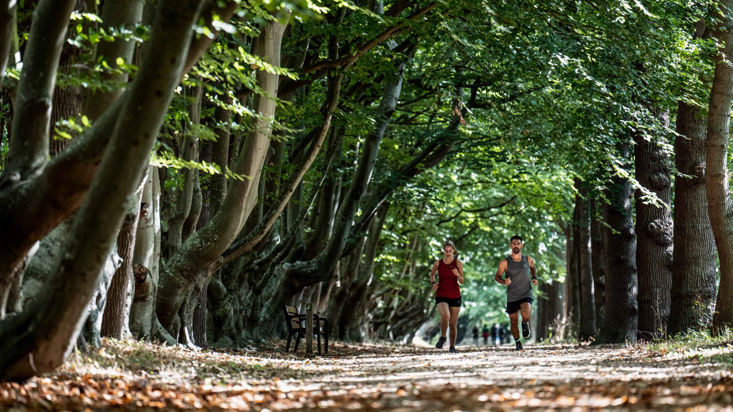 Rogelli CORE sportowy podkoszulek funkcyjny męski Kod producenta ROG352327.3XL