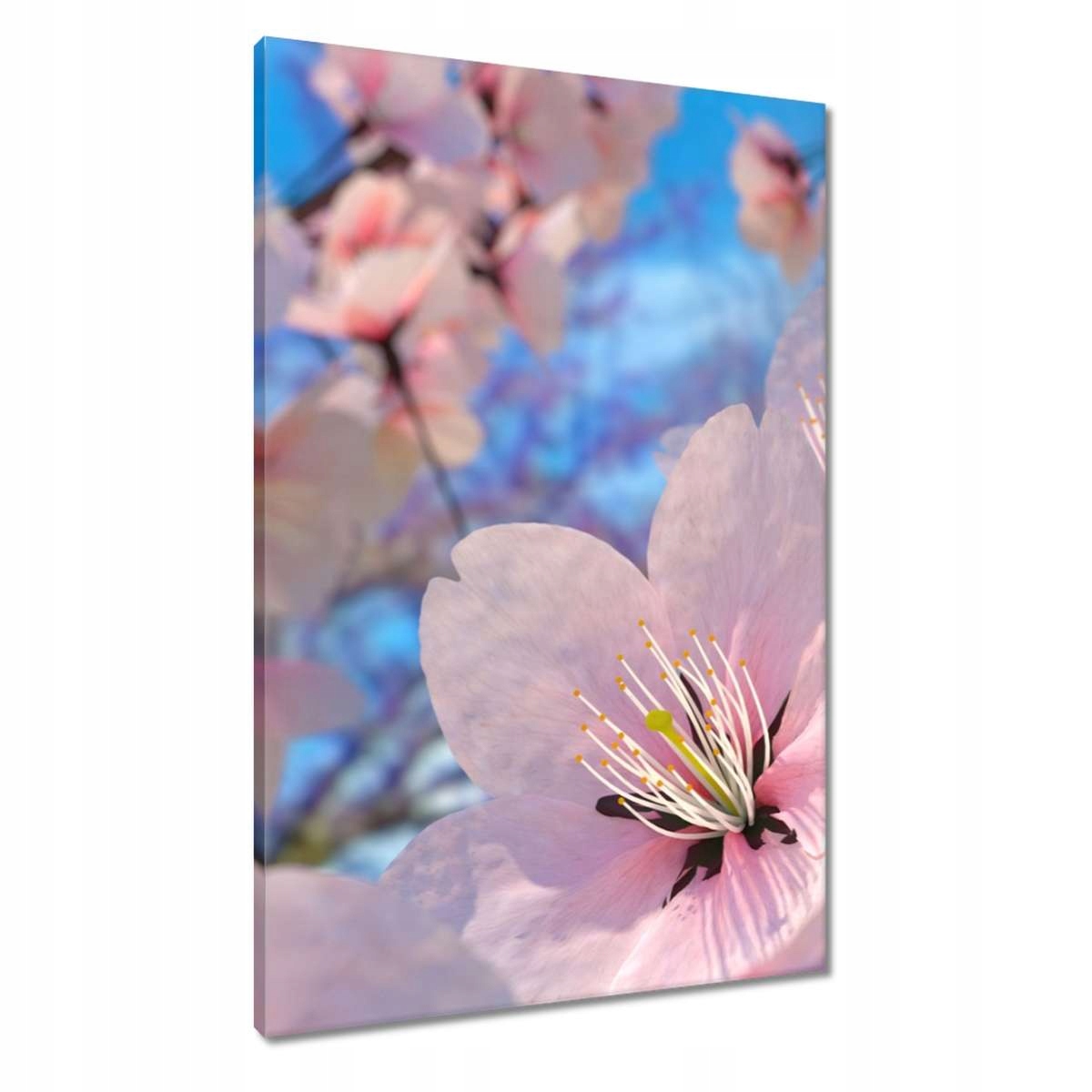 Obrazy 60x90 Krásné květiny