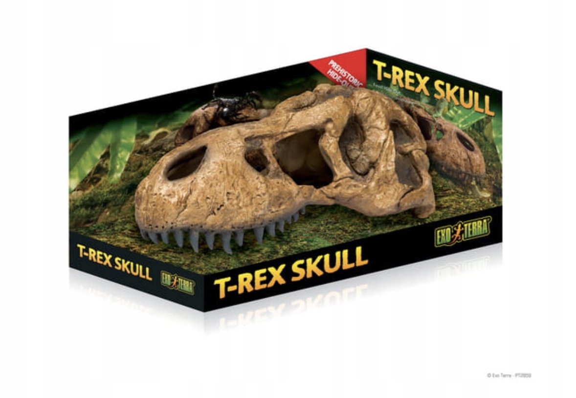 Levně Exo terra Lebka tyranosaura velký úkryt
