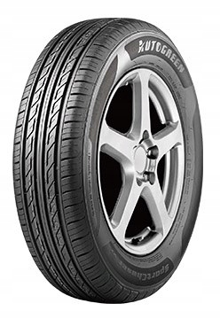 

2 x Autogreen Sport Chaser SC2 205/55R16 91 V