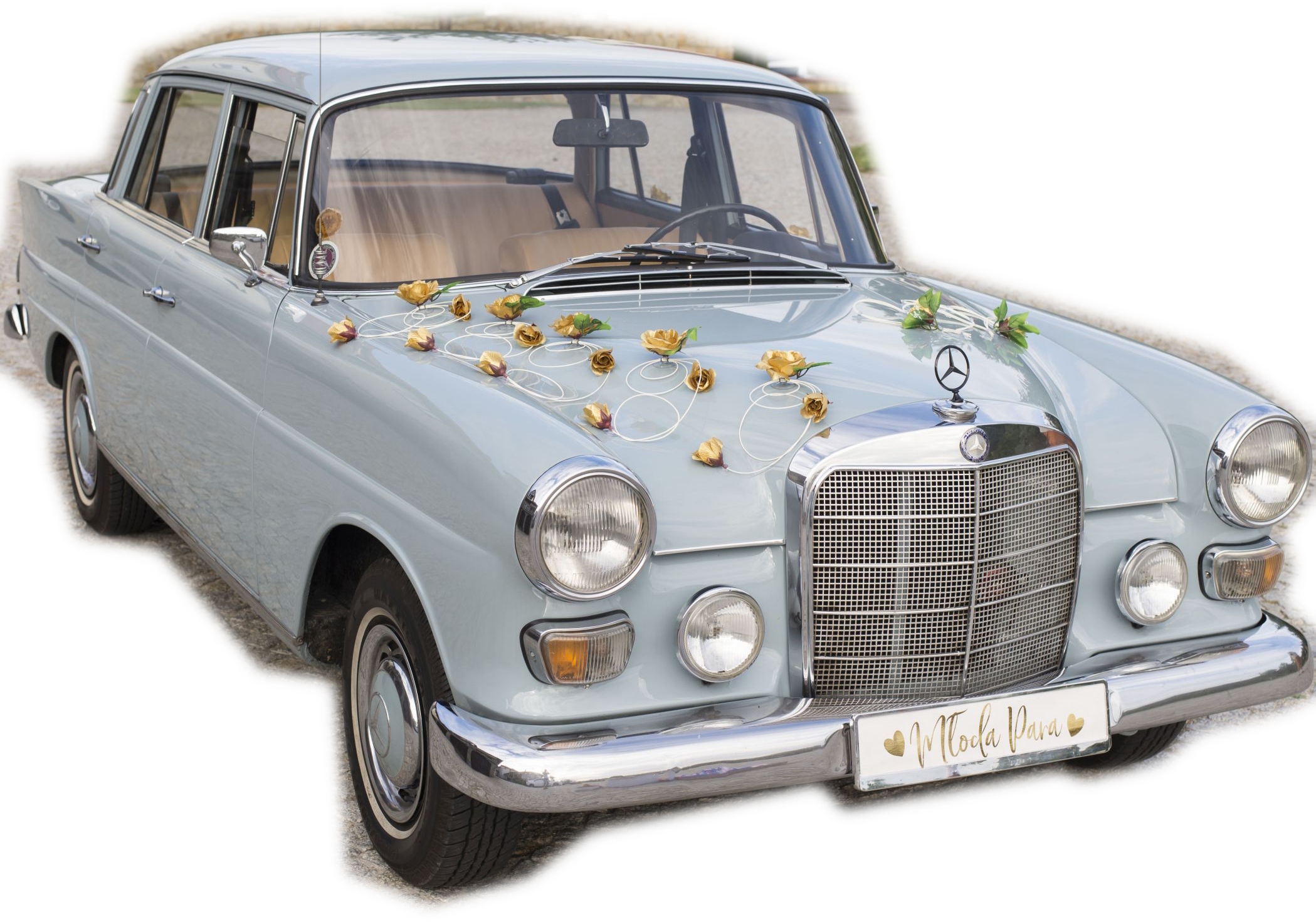 

Tablice tablica na auto Młoda Para Złote