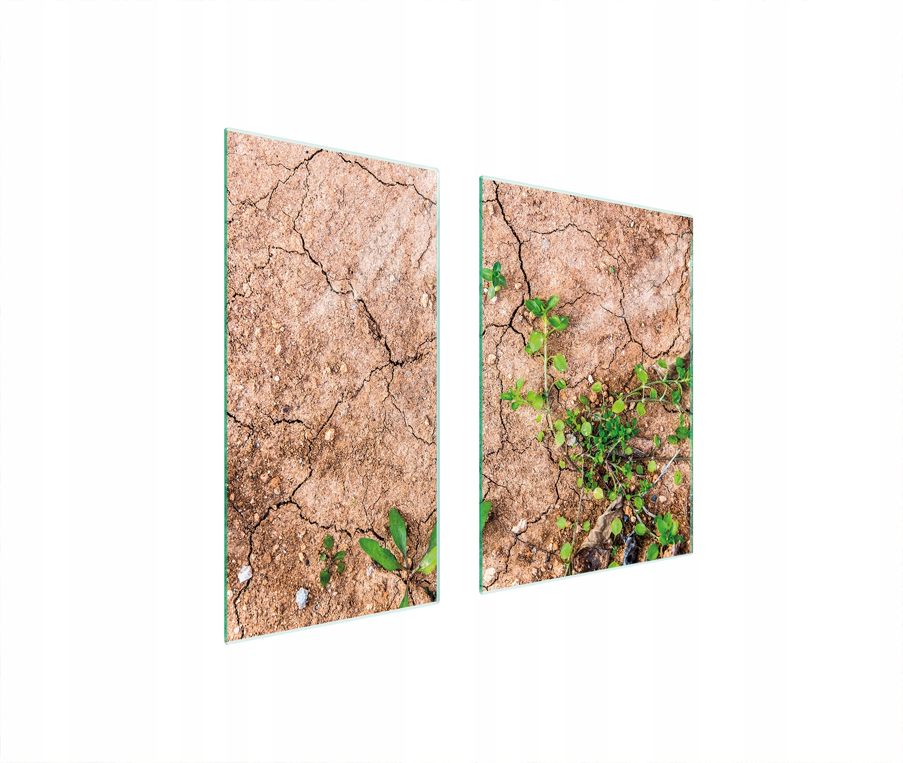 Skleněná Ochranná Deska 75x52 Rostliny Tvrzené Sklo