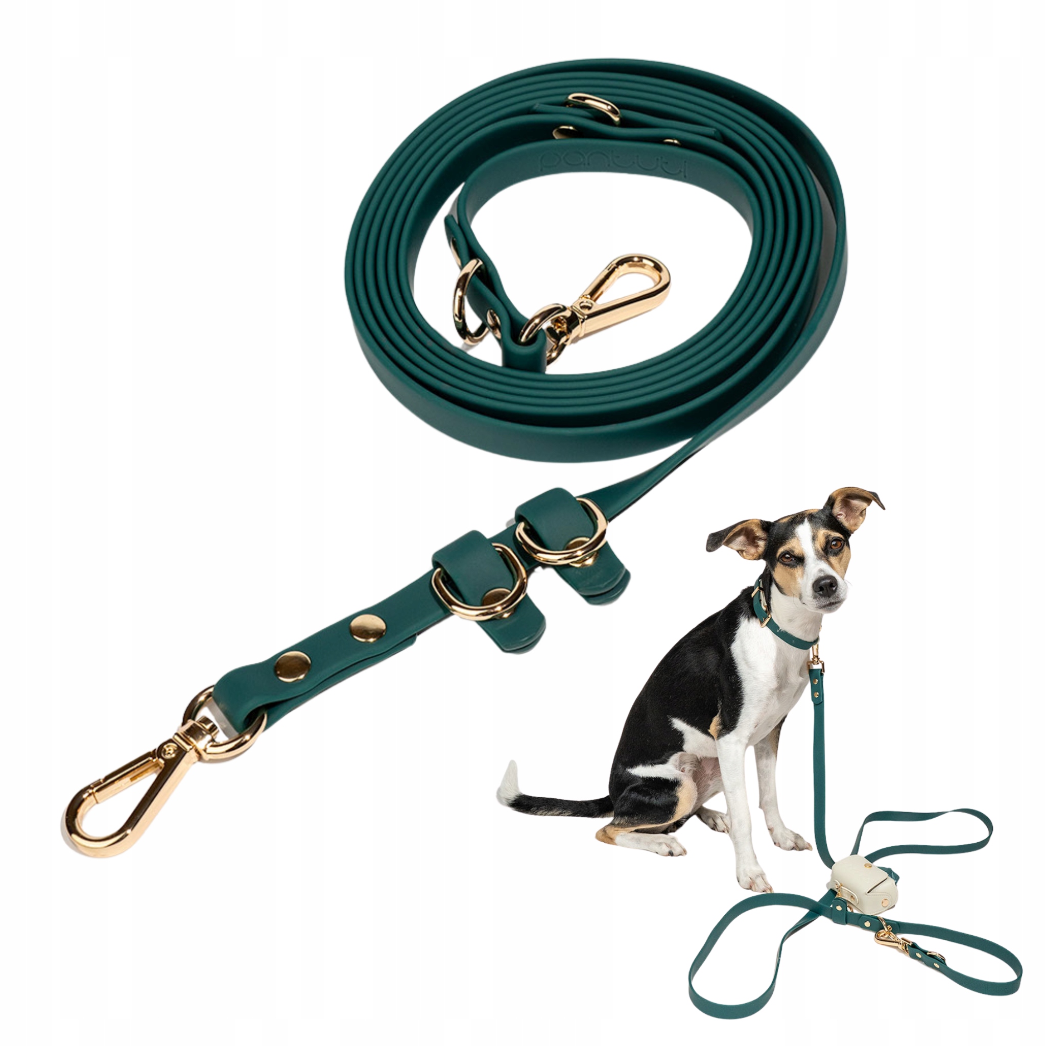 Elegantní voděodolná přepínací vodítko pro psa Faro páska Pvc Zelená S