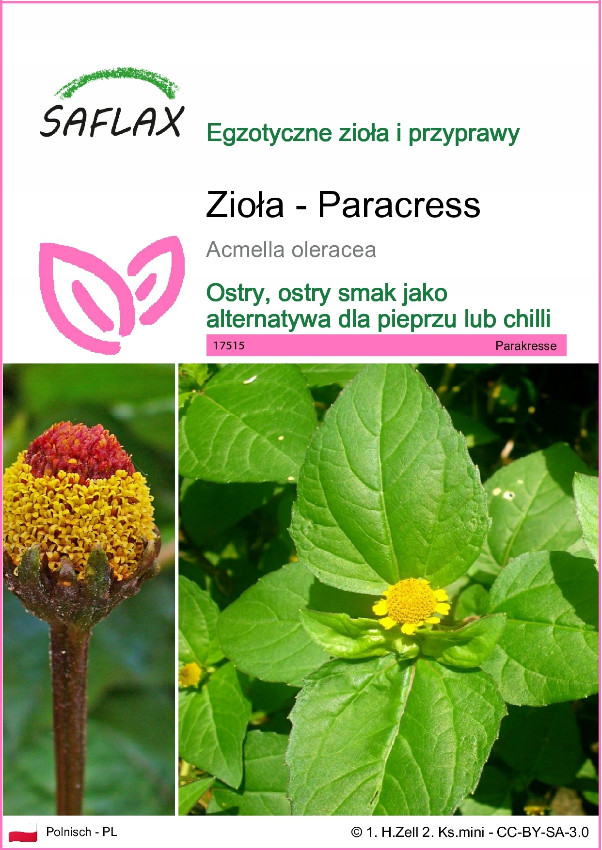 SAFLAX - Paracress - 500 Nasiona - Acmella