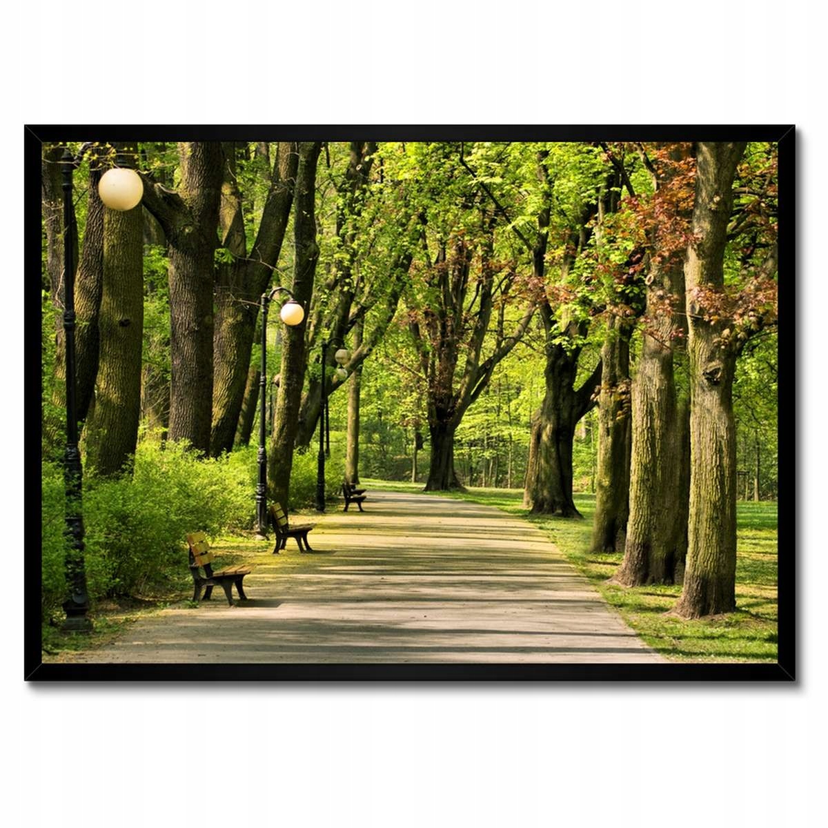 Plakáty v rámu 70x50 Park Citadela