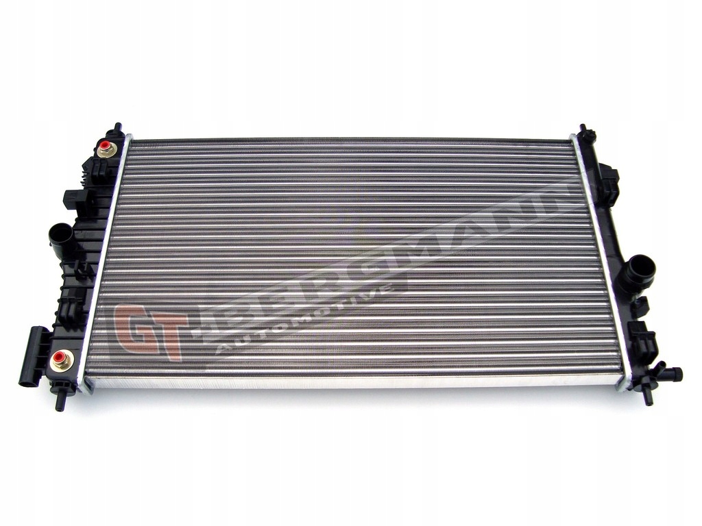 GT-BERGMANN GT10-101