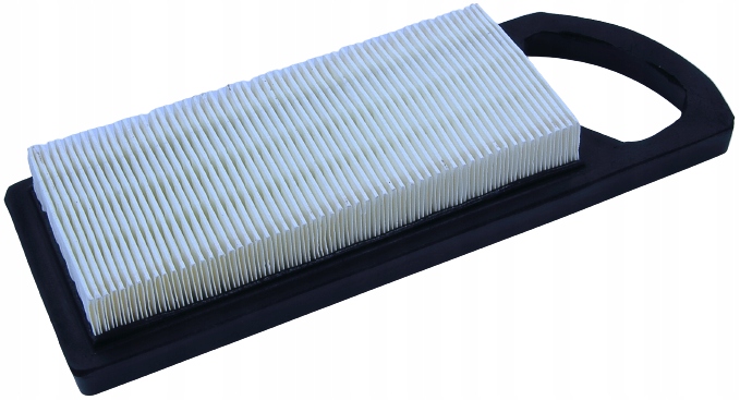 

Filtr Powietrza Briggs 794422 697634 697014 698083