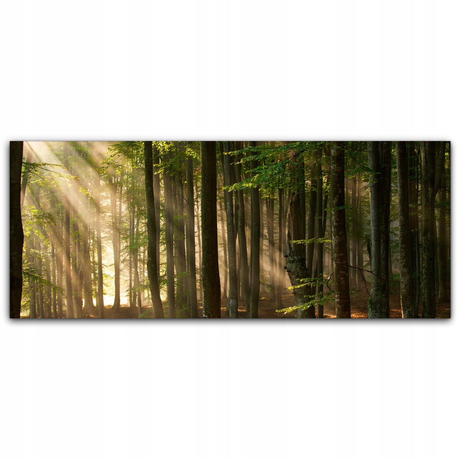 

Obraz na płótnie ścienny 125x50 Jesień Las Drzewa