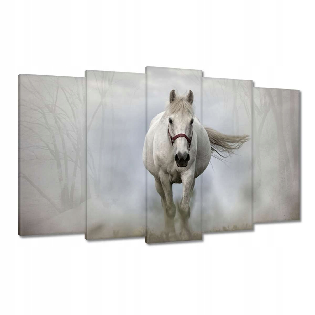 Obrazy 100x60 Kůň Koně Jezdectví