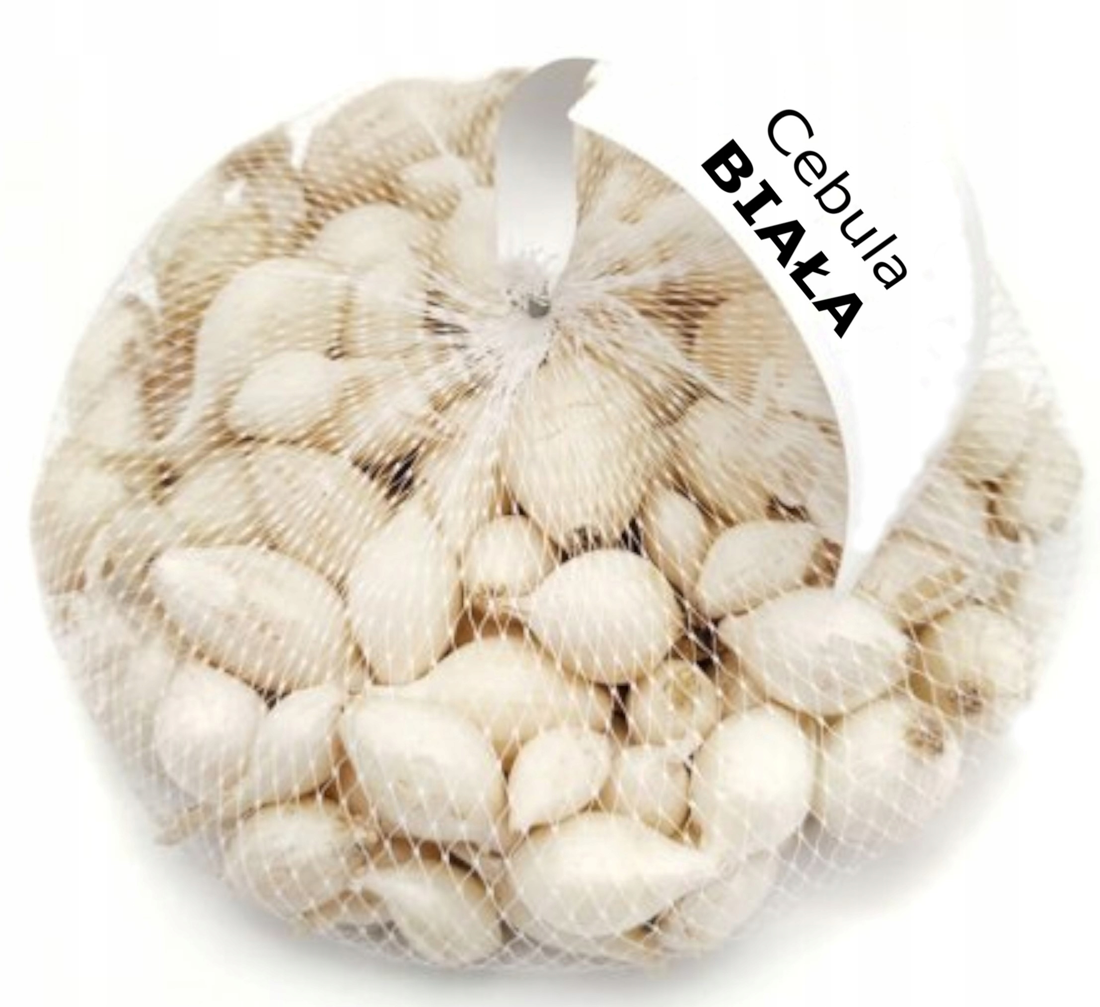 CEBULA DYMKA ALIBABA 500G WIOSENNA