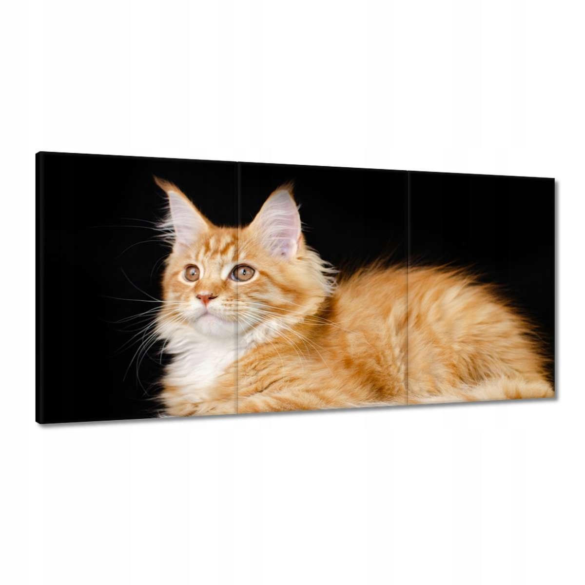 Obrazy 180x90 Sediaci veľký červený mačiatko