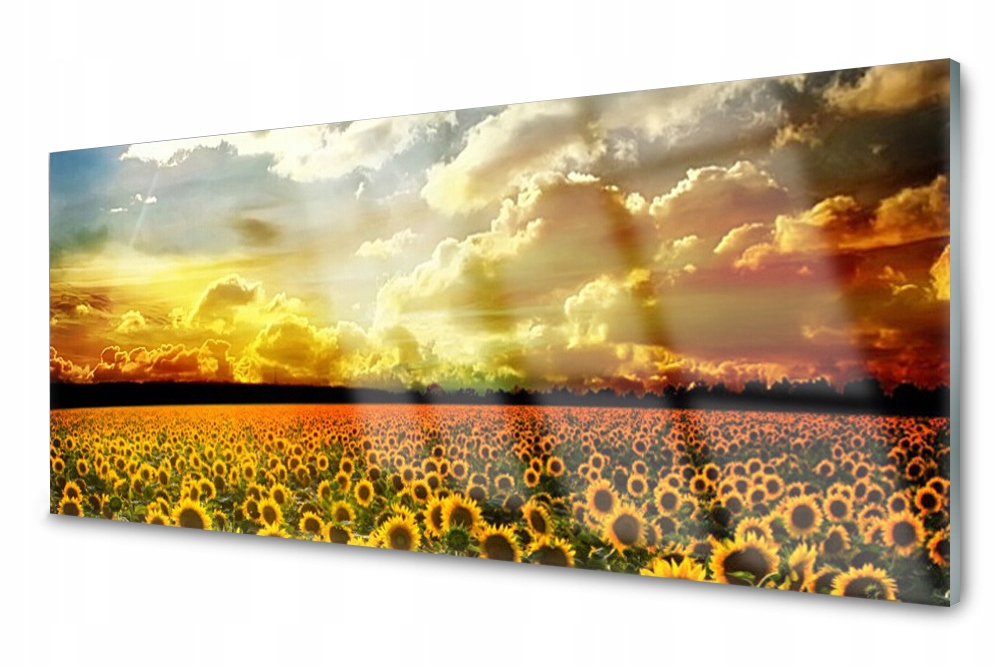

Panel szklany do kuchni Pole Słoneczników 125x50