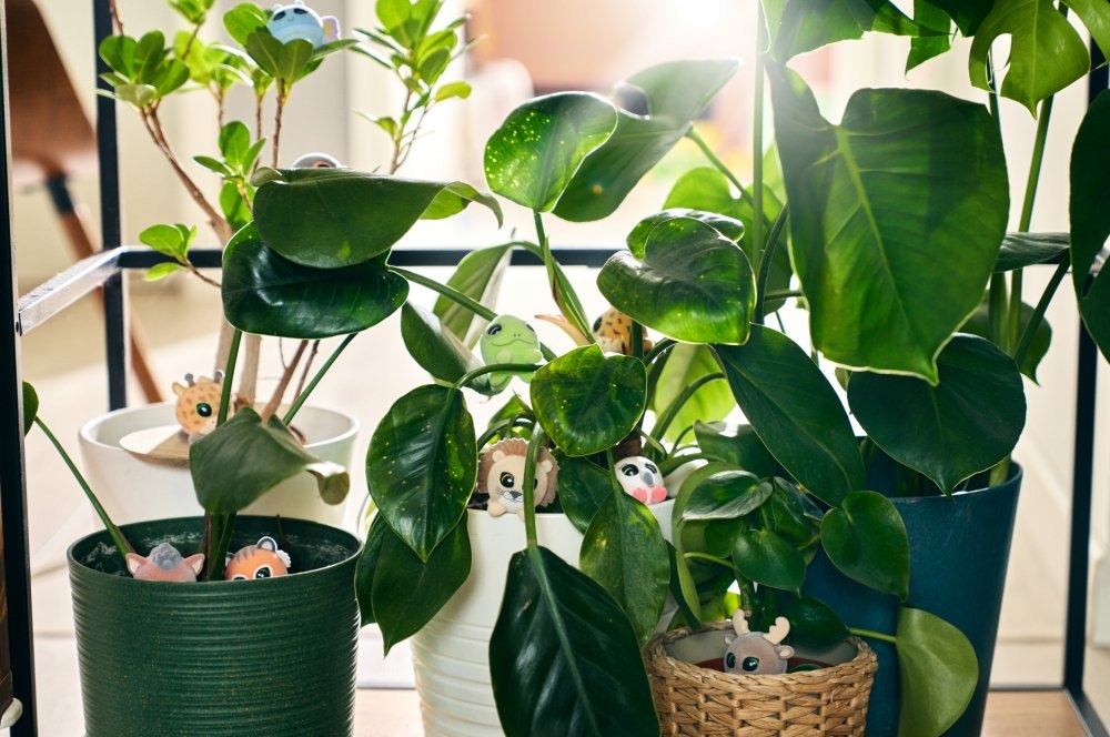 FLOCKIES ZEBRA ZORI FIGURKA KOLEKCJONERSKA Bohater brak