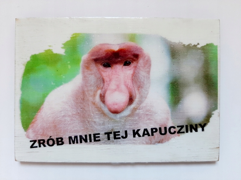 

Janusz Nosacz drewniany magnes Cappuccino