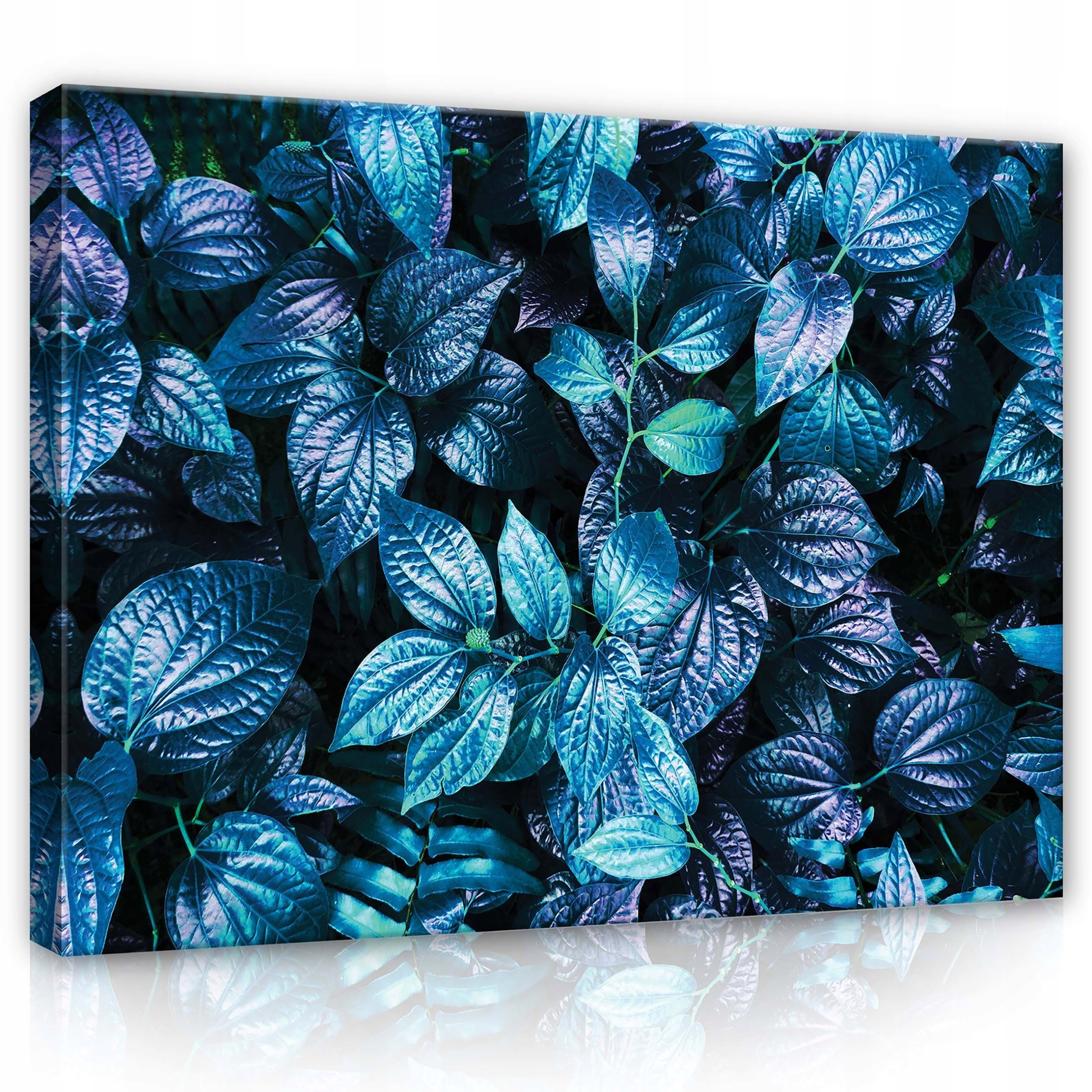 Obraz 100x75 Tropické listy světle modrá fialová lesklá exotika příroda klid