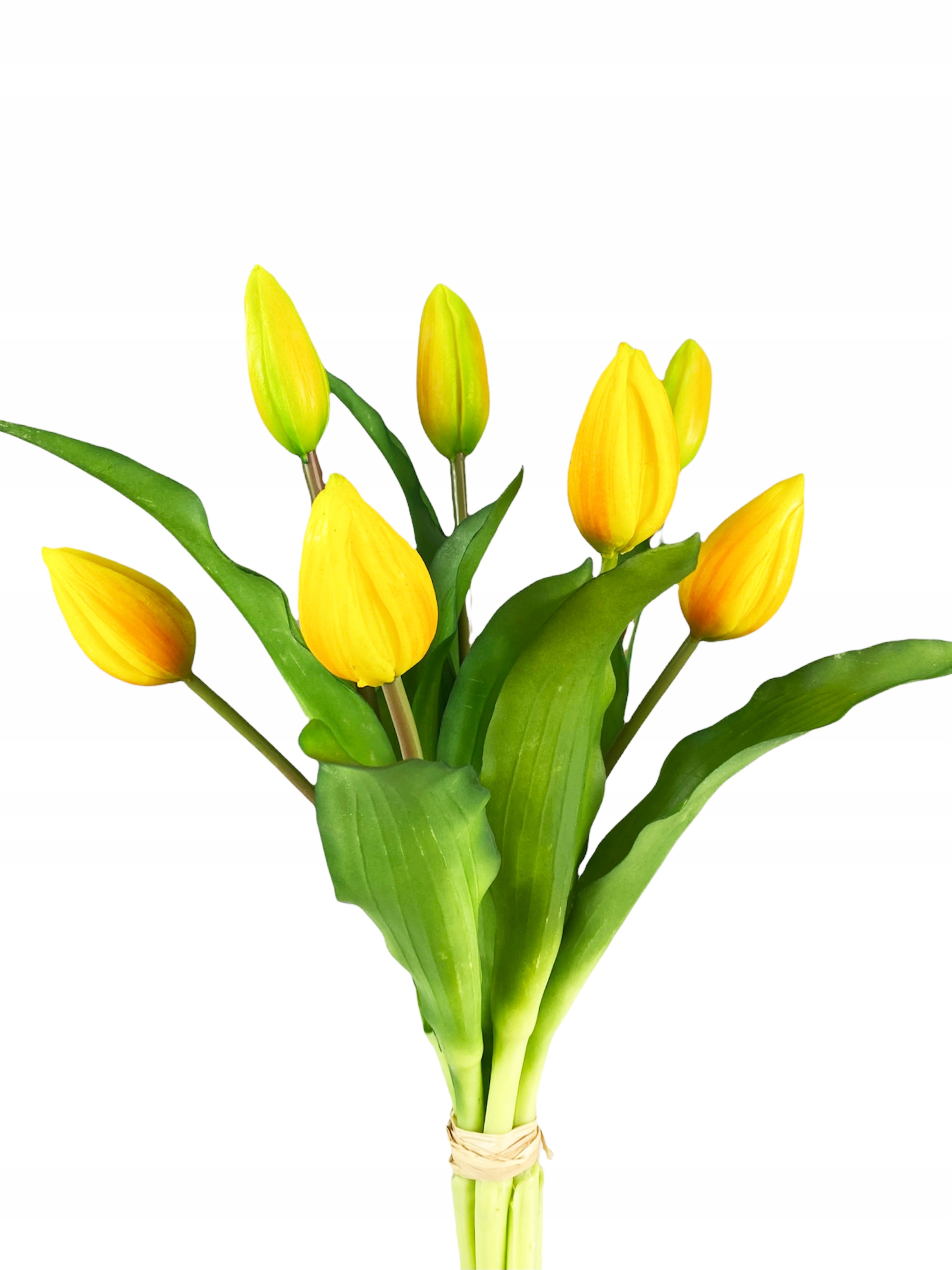 

Bukiet Tulipanów 7szt Tulipany Gumowane Żółty Poma