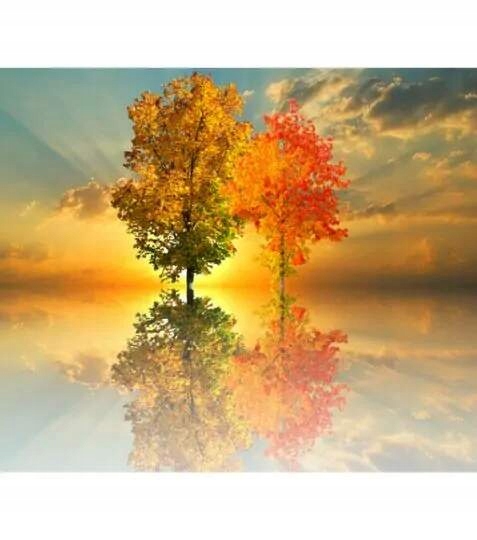 Bewit Miracle therapy 15 ml