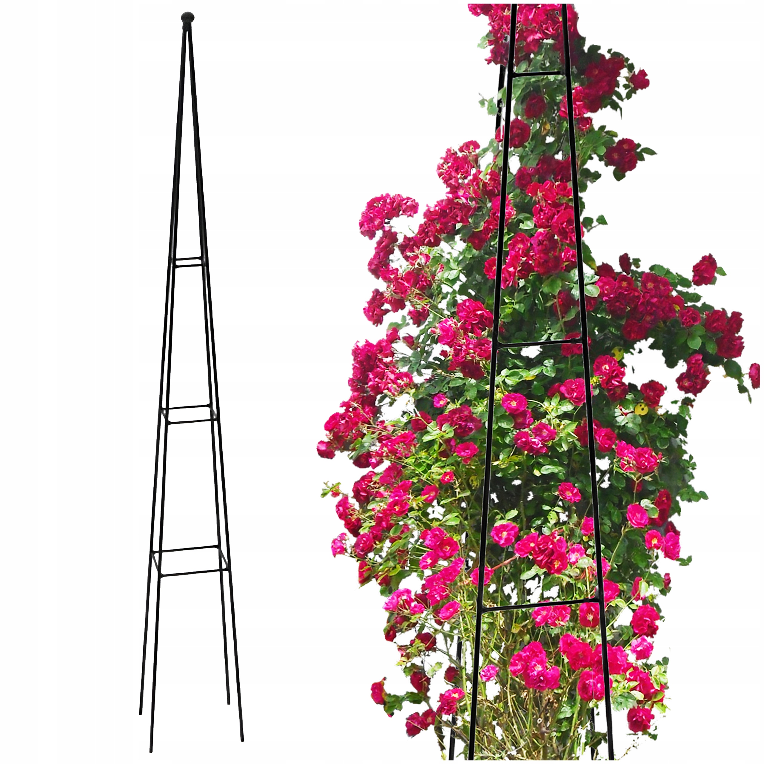 

Pergola Metalowa Ogrodowa Róże Mala Czarna