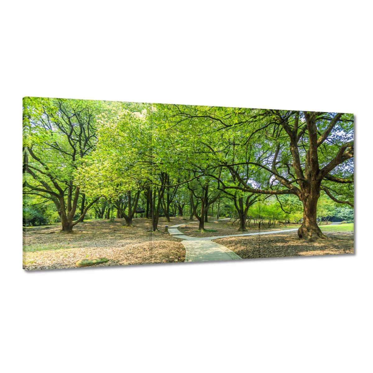 Obrazy 180x90 Zelený park s chodníkom