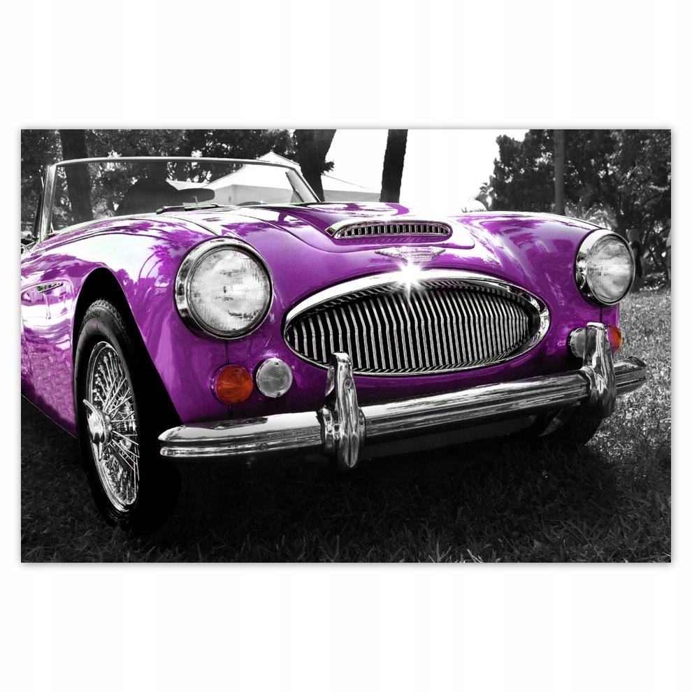

Plakaty 60x40 Austin Healey 3000