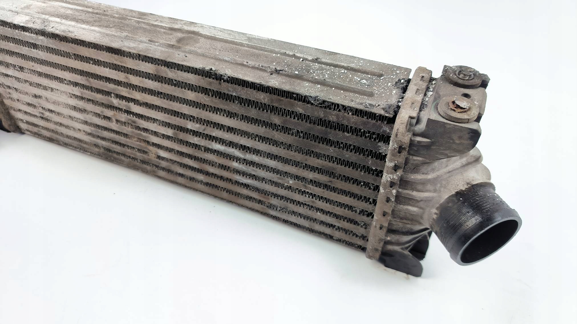 Kühler INTERCOOLER FORD TRANSIT MK8