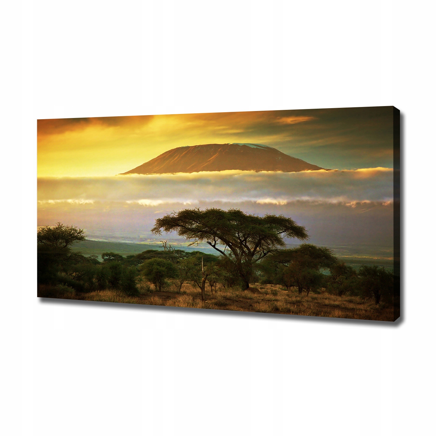 

Foto obraz na płótnie Kilimandżaro Kenia 120x60 cm
