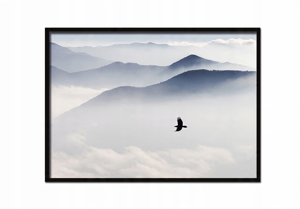 

Obraz Plakat W Ramie 53x73 cm Ptak P611