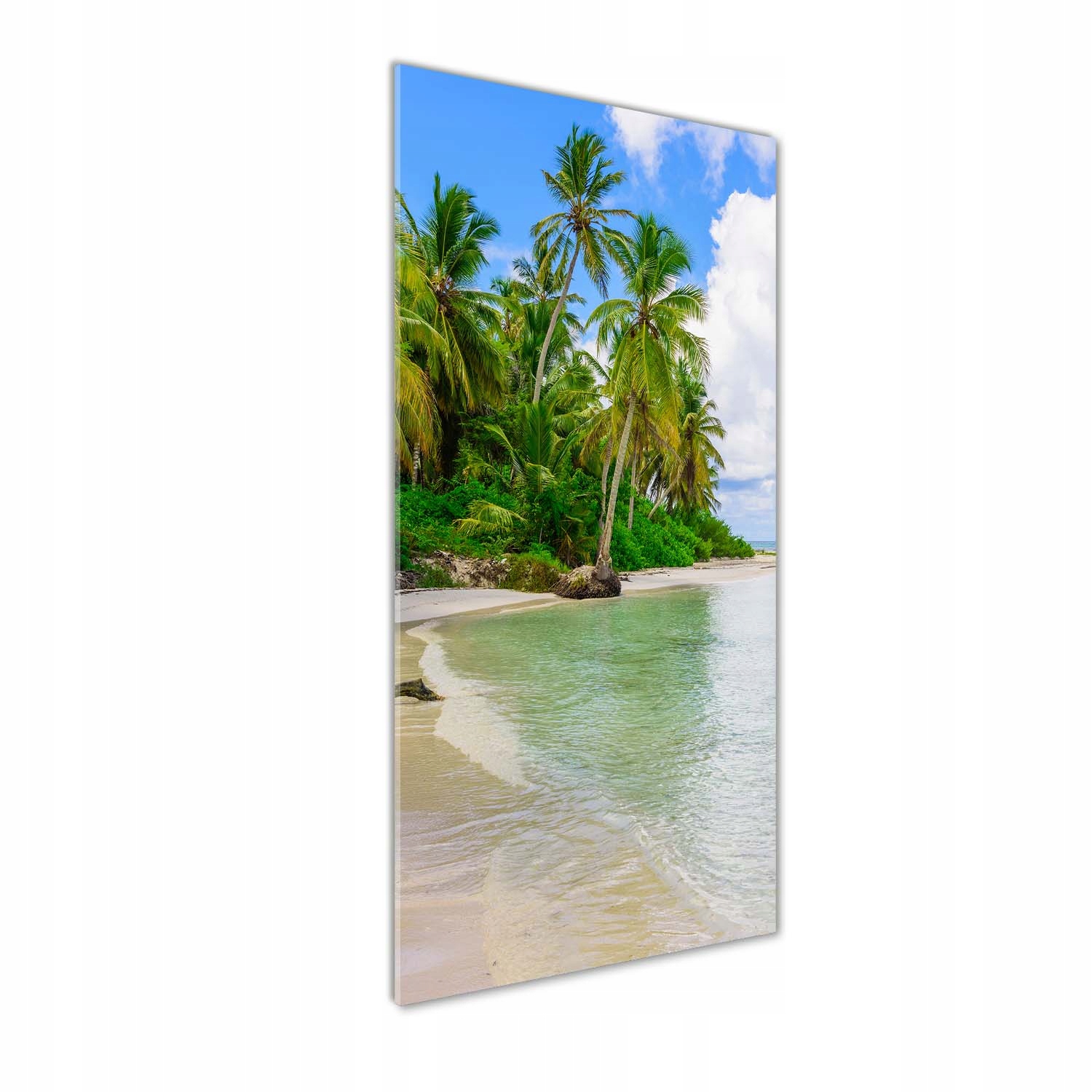

Foto obraz szklany pionowy Tropikalna plaża 50x125