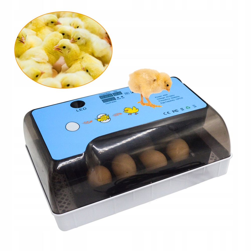 INKUBATOR KLUJNIK WYLĘGARKA JAJ WYLĘGU DROBIU 12J Kod producenta Inkubatory