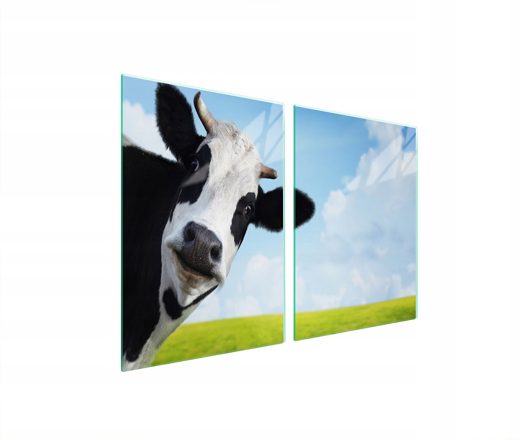 Skleněná Ochranná Deska Do Kuchyně 2x45x52 Kráva Tvrzené Sklo