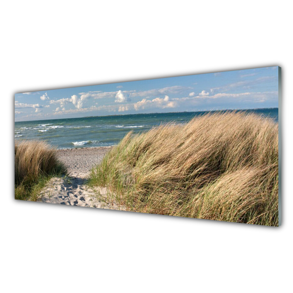 

Fotoobraz akryl 125x50 Plaża Morze Trawa Krajobraz